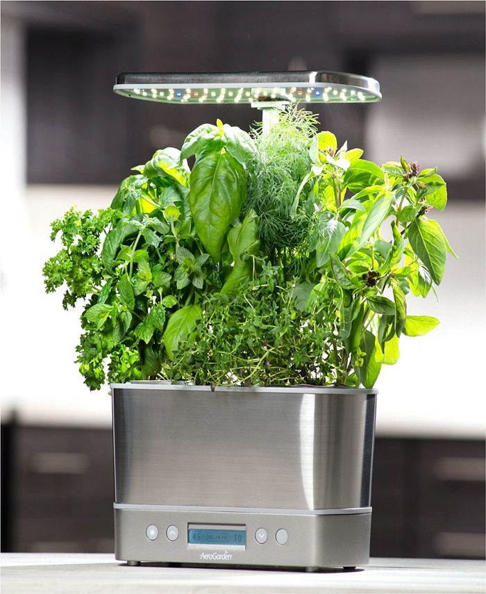 AeroGarden Harvest Elite Macy
