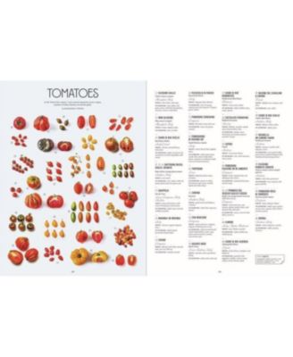 Let's Eat Italy!: Everything You Want To Know About Your Favorite Cuisine By François-R&eacute;gis Gaudry