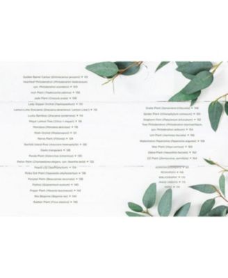 How to Houseplant - A Beginner's Guide to Making and Keeping Plant Friends by Heather Rodino