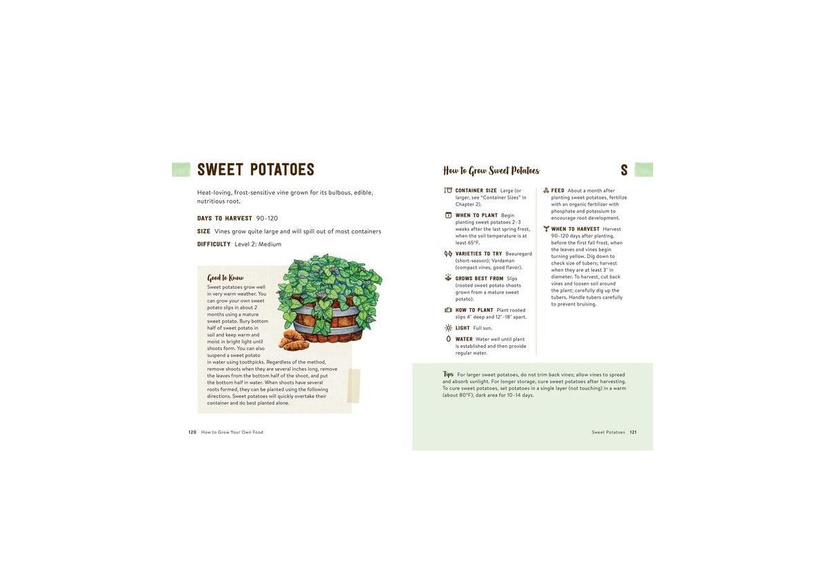 How to Grow Your Own Food - An Illustrated Beginner's Guide to Container Gardening by Angela S. Judd