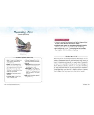 The Backyard Bird Sanctuary- A Beginner's Guide to Creating A Wild Bird Habitat At Home by Alan Baczkiewicz