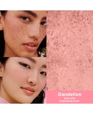 WANDERful World Silky-Soft Powder Blush Mini