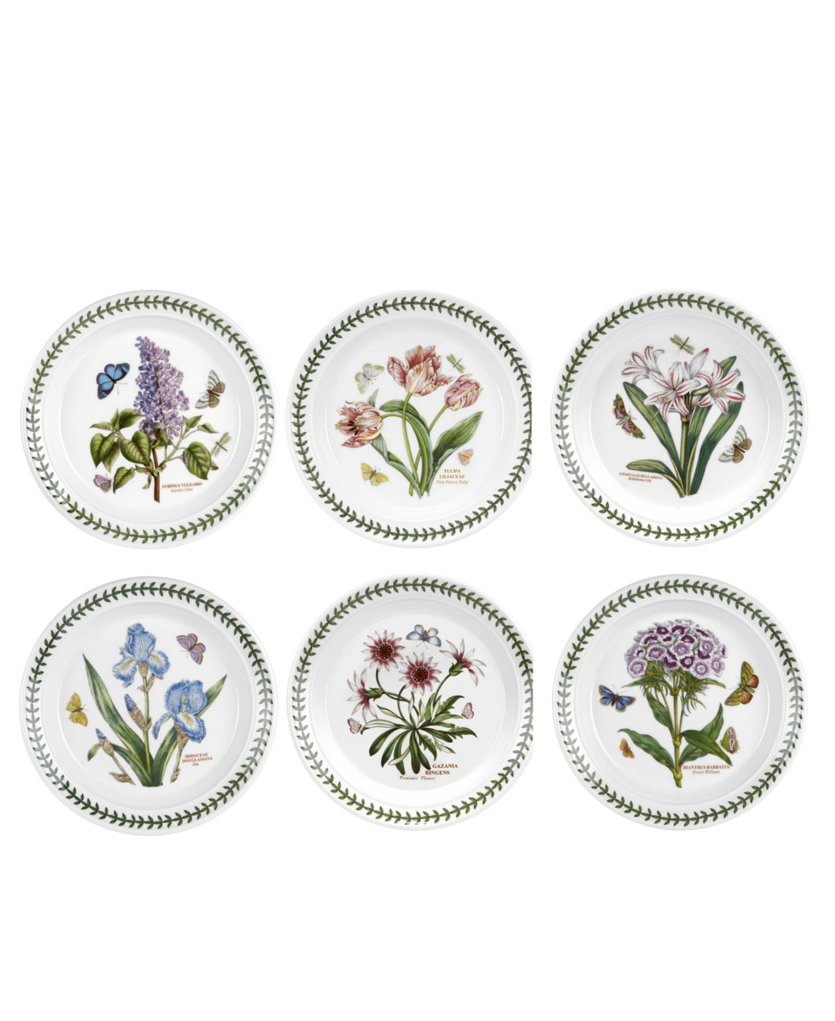 Botanic Garden Assorted Motifs Salad Plate, Set of 6 - White