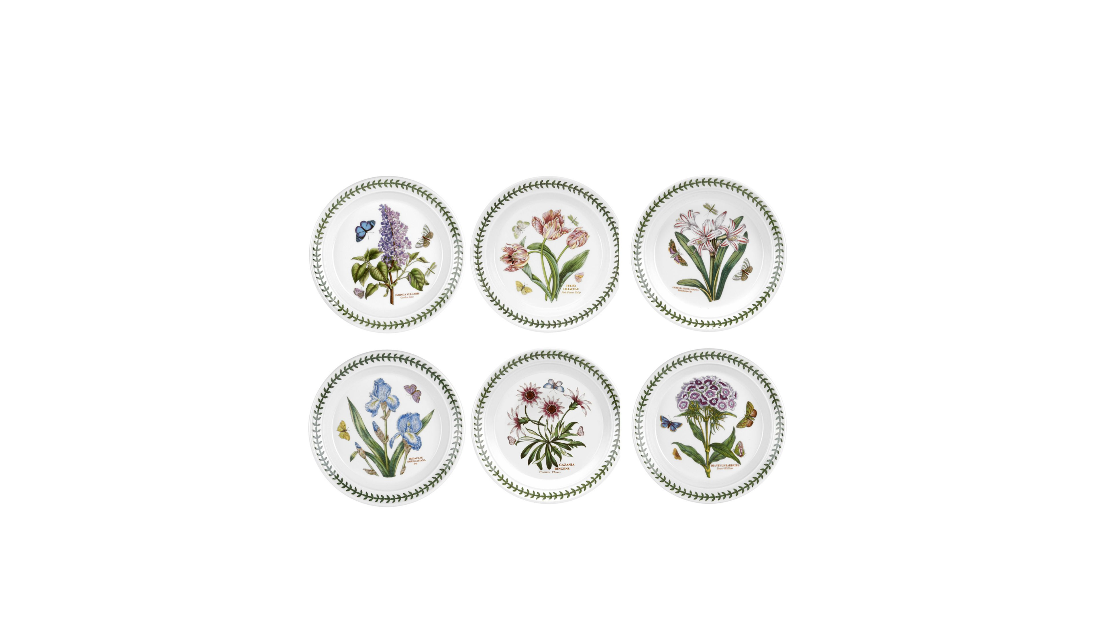 Botanic Garden Assorted Salad Plates, Set of 6