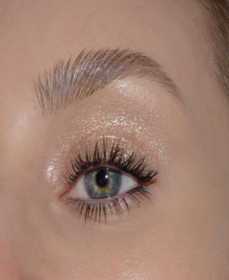 Glitter Pigment Eye shadow