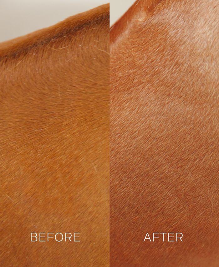 Petcode Paws Hypoallergenic Shampoo Puppy, Dog Shampoo with Argan Oil