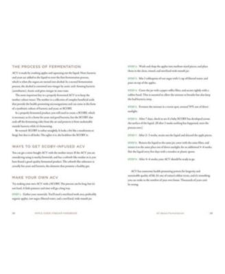 Apple Cider Vinegar Handbook: Recipes for Natural Living by Amy Leigh Mercree