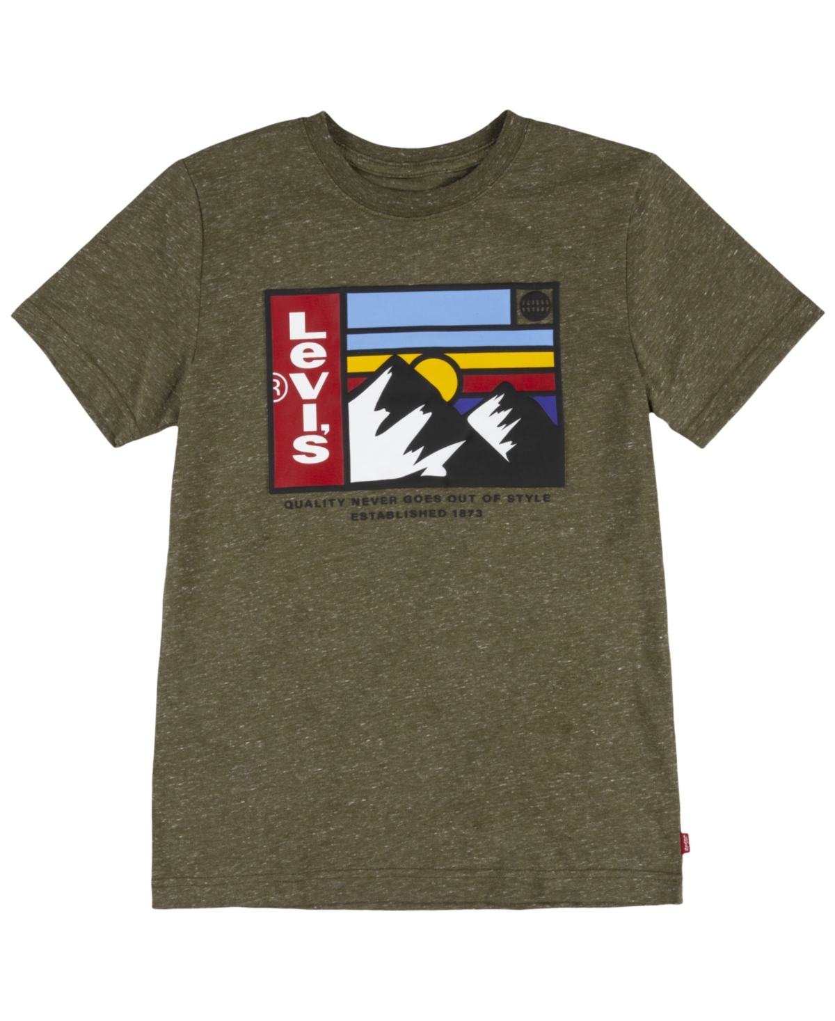 Levi's Big Boys Mountain Logo T-Shirt