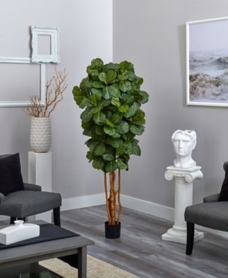 6' Fiddle Leaf Fig Tree