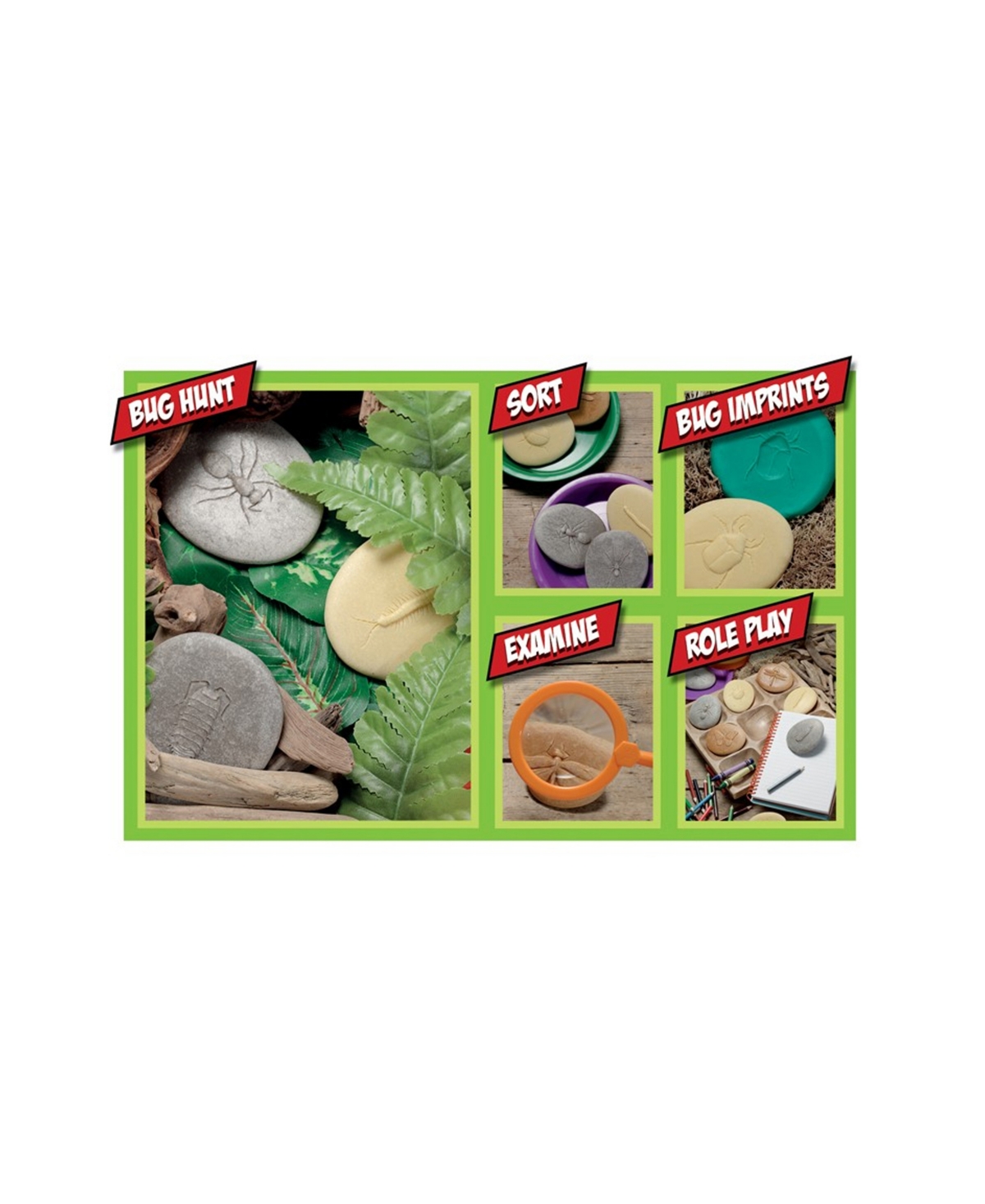 Yellow Door Let's Investigate Bugs Stone, Set Of 8 In Assorted