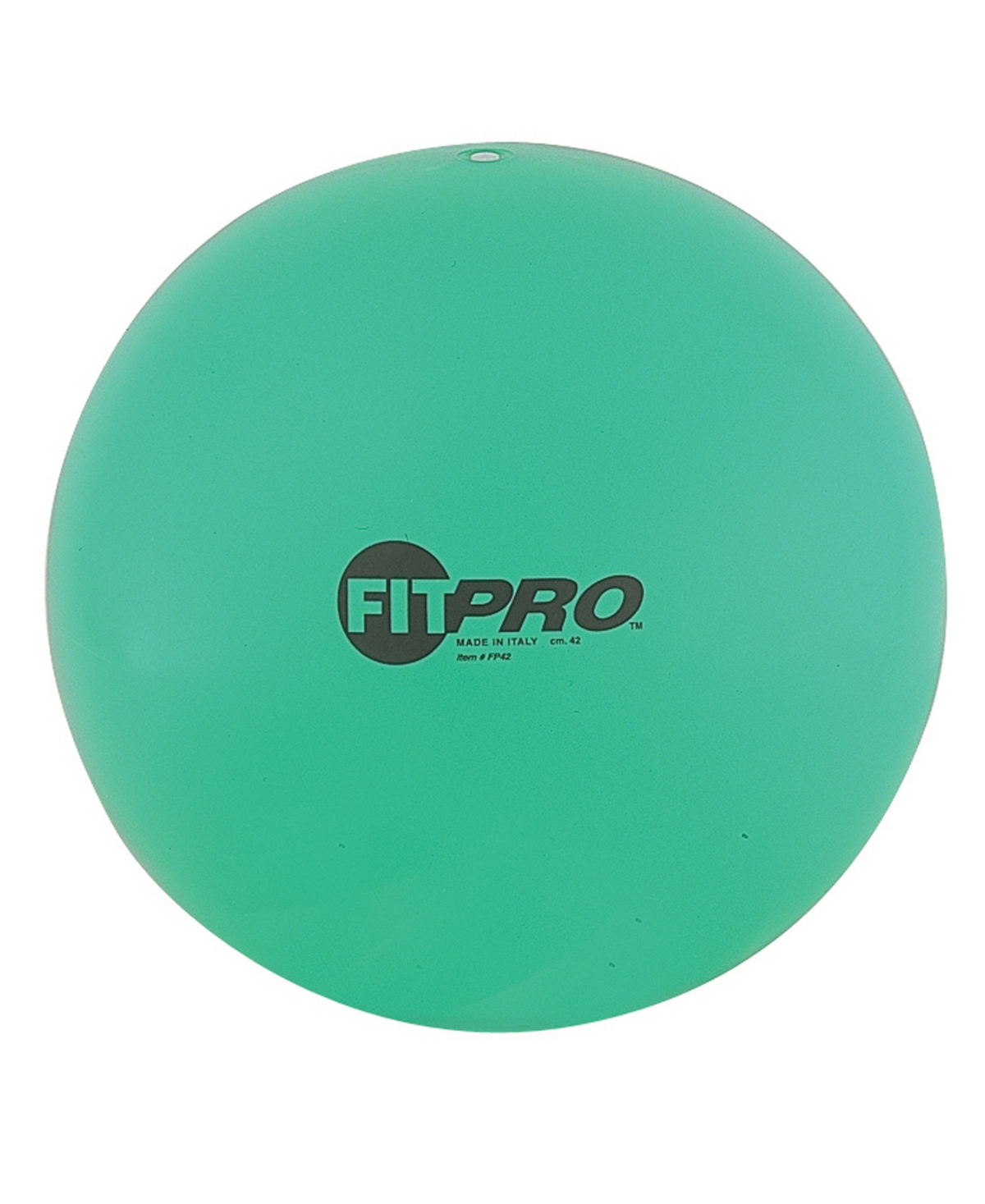 Champion Sports Fitpro Training Exercise Ball, 42 Cm In Green