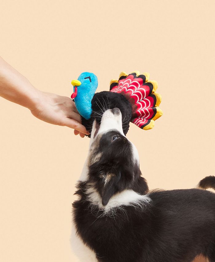 BarkBox Turkey Tim Plush Squeaker Crinkle Dog Toy Macy's