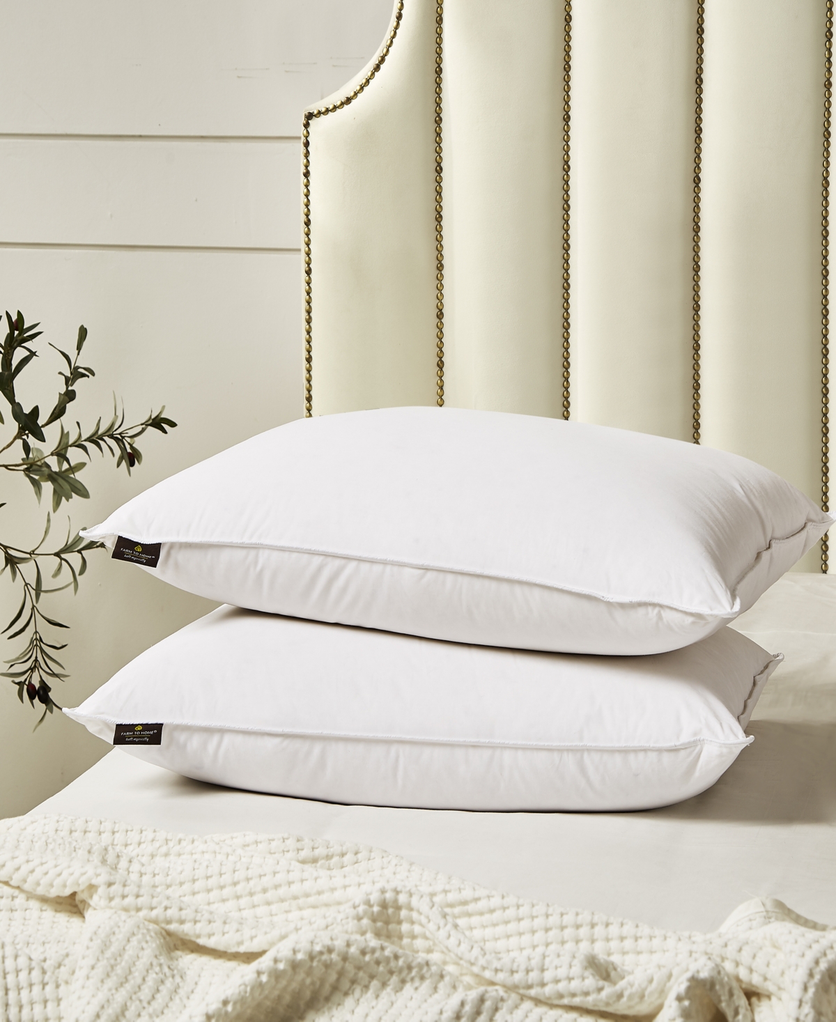 Farm to Home Softy-Around White Feather & Down Cotton 2-Pack Pillow