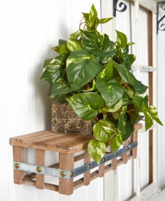 Pothos Artificial Ledge Plant 