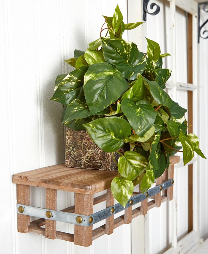 Nearly Natural Pothos Artificial Ledge Plant Macy's