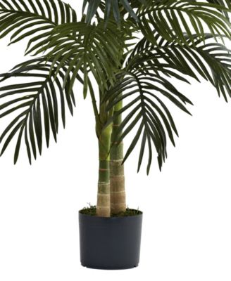 4' Golden Cane Palm Tree