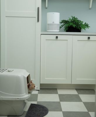 Bissell Myair Personal Air Purifier