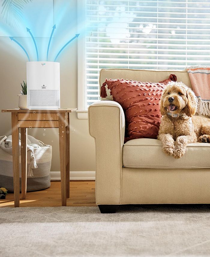 Bissell Myair Personal Air Purifier Macy