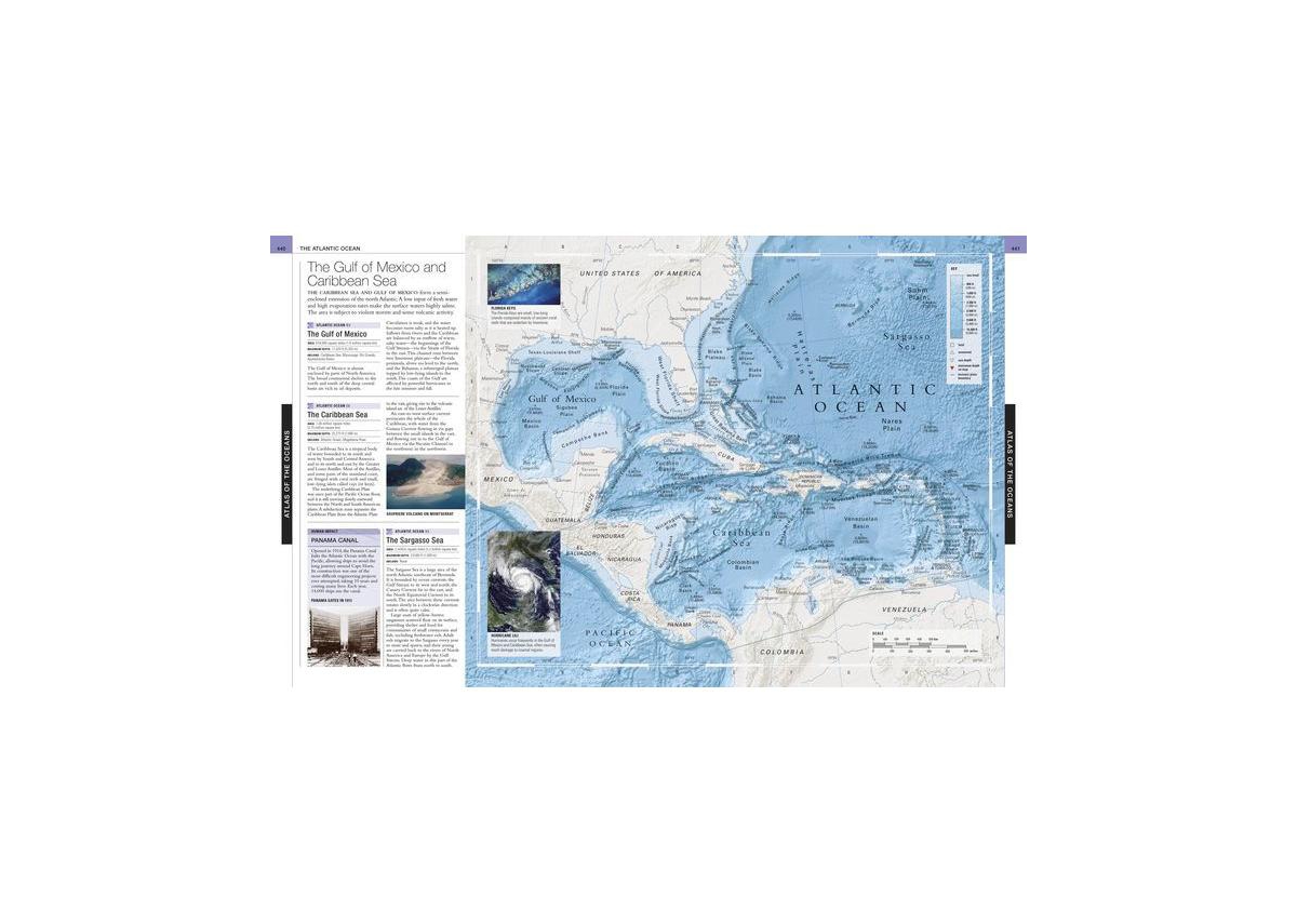 Ocean, New Edition by Dk