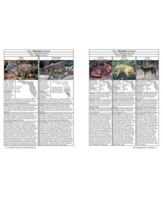 Florida Wildlife Encyclopedia - An Illustrated Guide to Birds, Fish, Mammals, Reptiles, and Amphibians by Scott Shupe