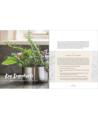 Master Recipes From the Herbal Apothecary - 375 Tinctures, Salves, Teas, Capsules, Oils, and Washes For Whole-Body Health and Wellness by Jj Pursell