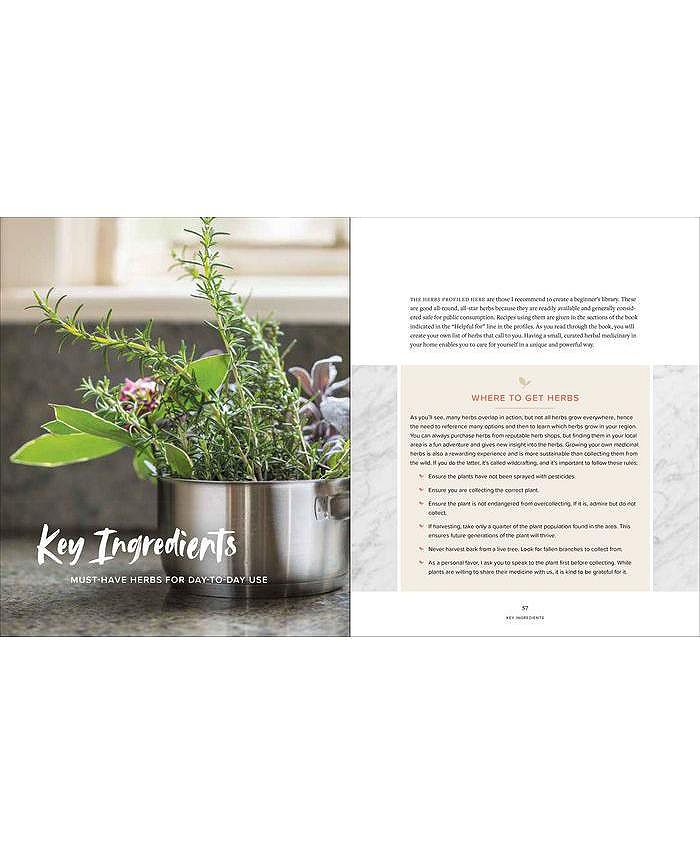 Barnes & Noble Master Recipes From the Herbal Apothecary 375 Tinctures, Salves, Teas, Capsules