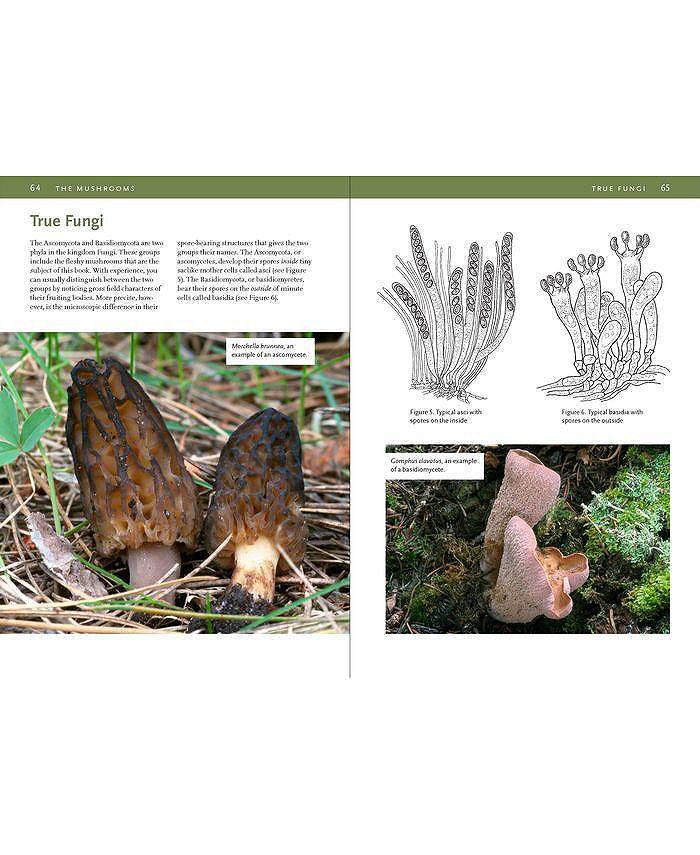 Barnes & Noble Mushrooms of the Rocky Mountain Region by Vera Stucky