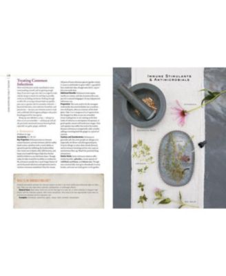Body into Balance: An Herbal Guide to Holistic Self-Care by Maria Noel Groves
