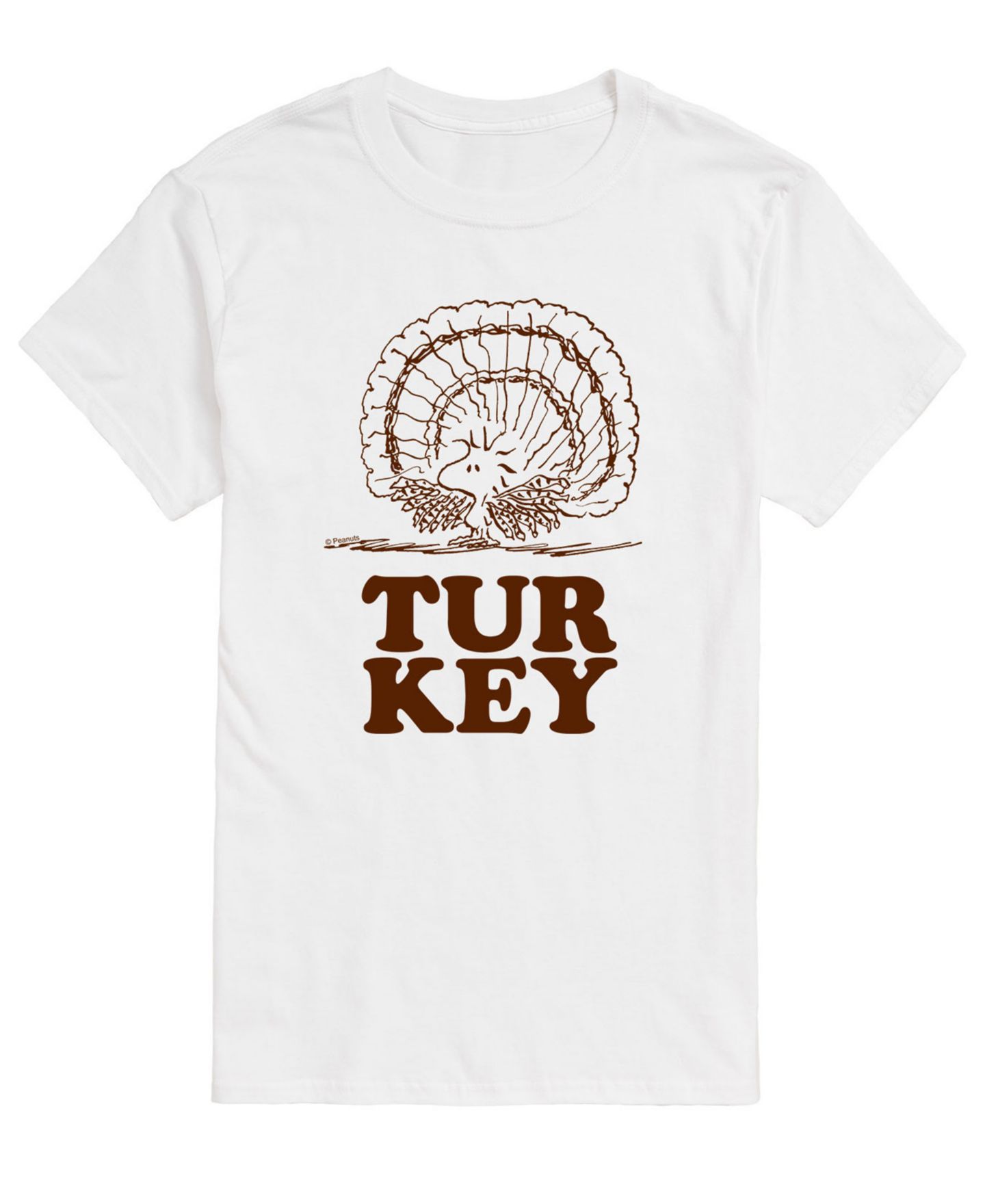 Мужская футболка AIRWAVES Short Sleeve Peanuts Turkey, цвет: Белый — фото 1