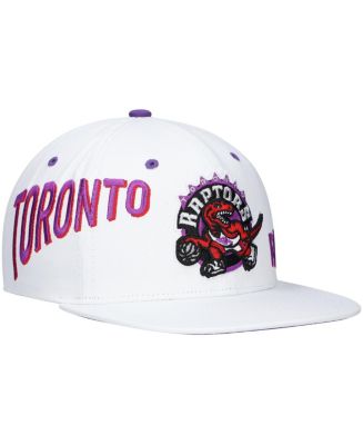 Men's Mitchell & Ness x Lids White Toronto Raptors Hardwood Classics ...