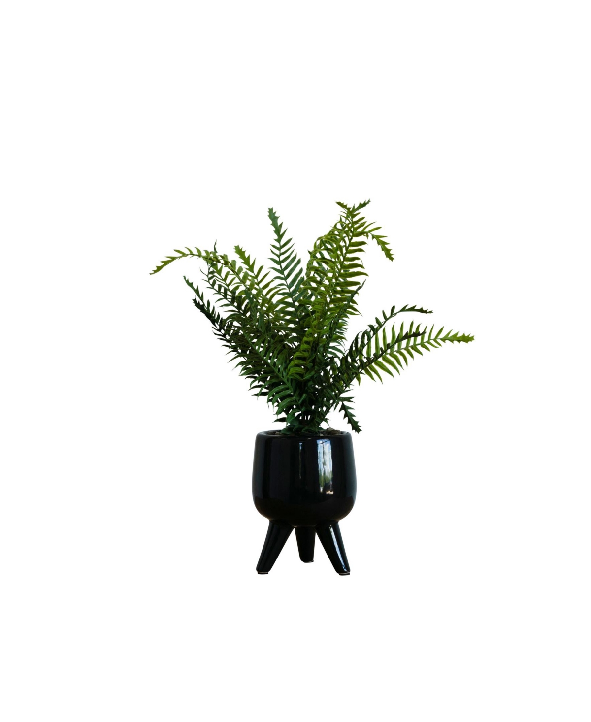 Desktop Artificial Palm in Decorative Ceramic Pot, 17" - Black