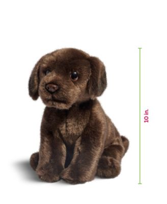 10" Labrador Puppy Dog Toy, Created for Macy's