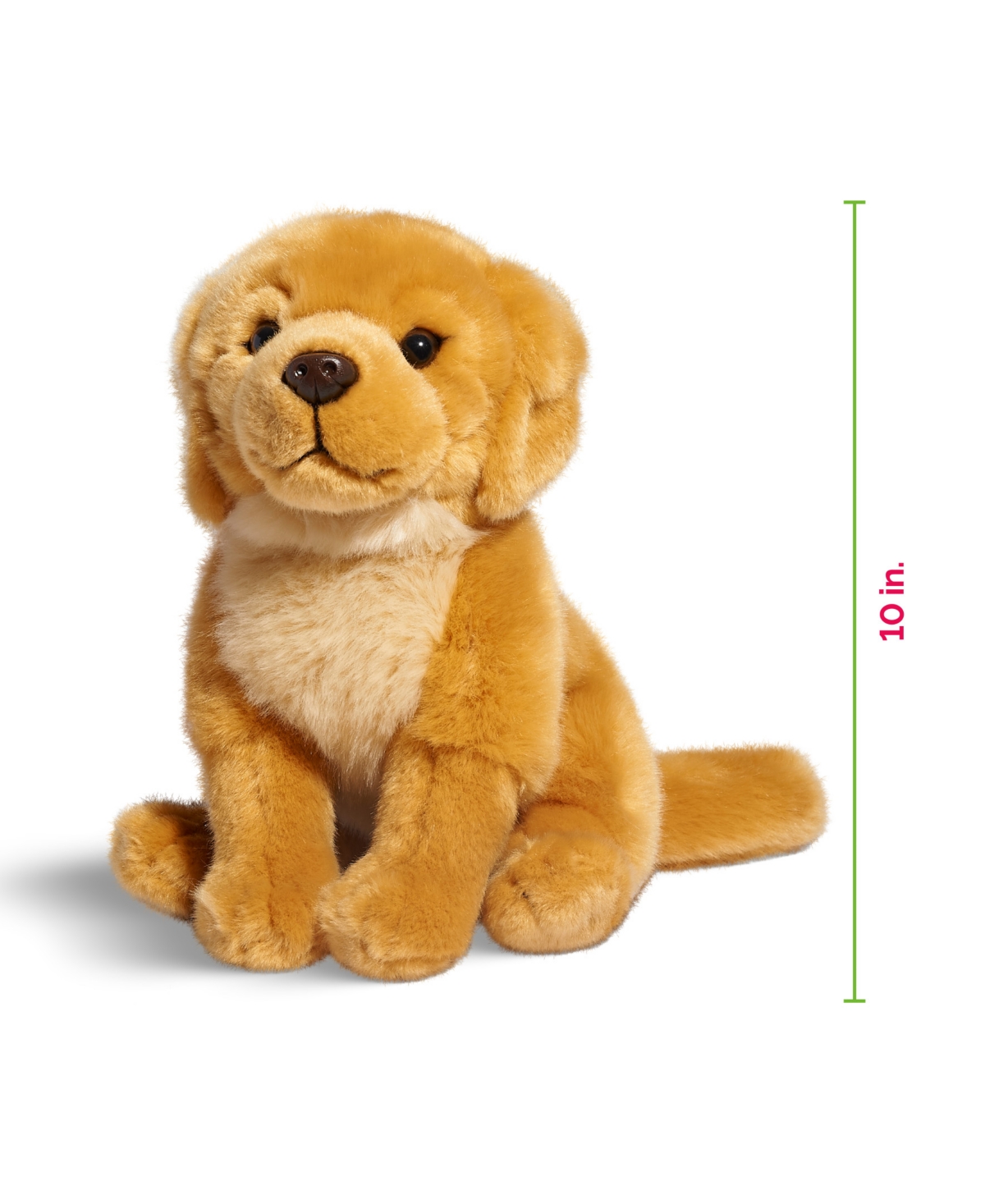 Shop Geoffrey's Toy Box 10" Golden Retriever Puppy Dog Toy, Created For Macy's In Light Beige
