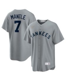 Profile Men's Gerrit Cole White/Navy New York Yankees Big & Tall Replica Player Jersey