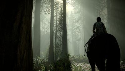 COMPUTER ENTERTAINMENT Shadow of the Colossus - PS4