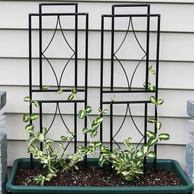 Contemporary Metal Wire Garden Trellis for Climbing Plants and Flowers - 30" H - Black - 2-Pack