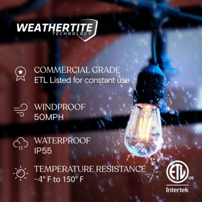 Ambience Pro 24 ft. Indoor/Outdoor LED Weatherproof 2-Watt String Lights with Warm White Hue