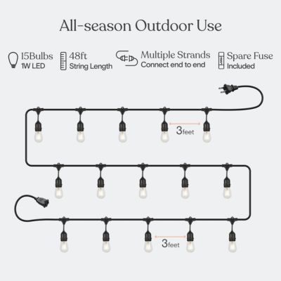Ambience Pro 48 ft. Indoor/Outdoor LED Weatherproof 1-Watt String Lights