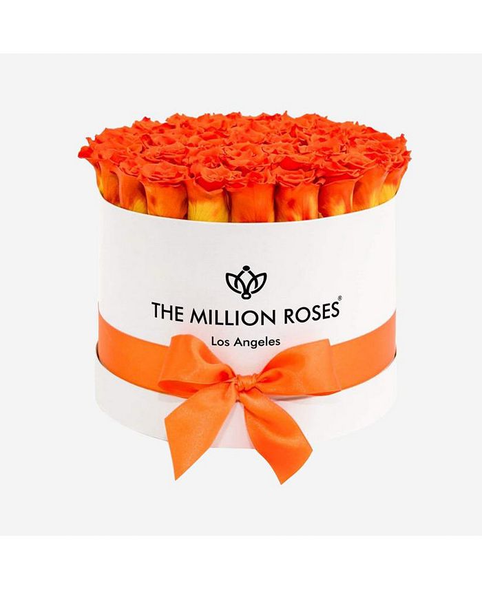 The Million Roses Supreme White Box of Roses Macy's