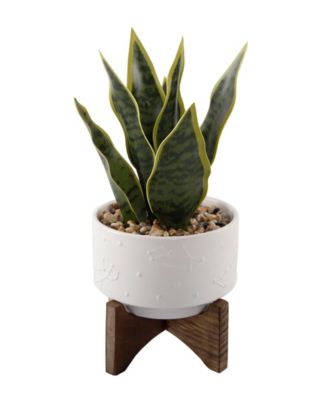 Flora Bunda