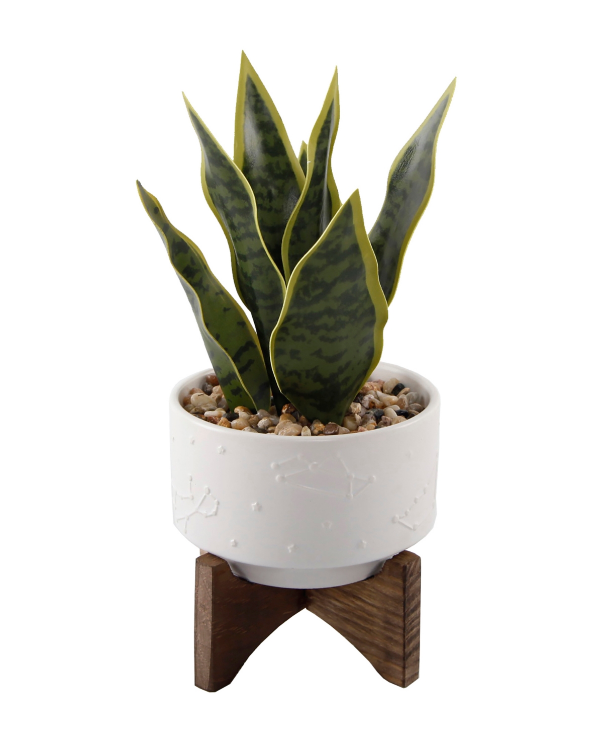 Snake Plant in Constellation Ceramic Pot on Stand, 9.7" - Matte White