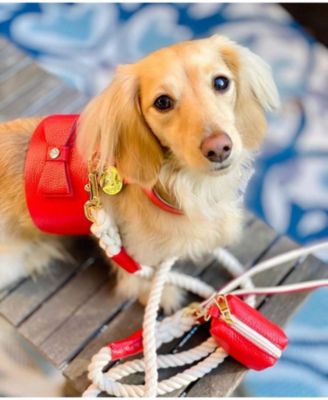 Pet Dog Waste Bag Holder - Melting Hearts