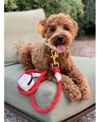 Pet Dog 5ft Long Leash - Hot Marine