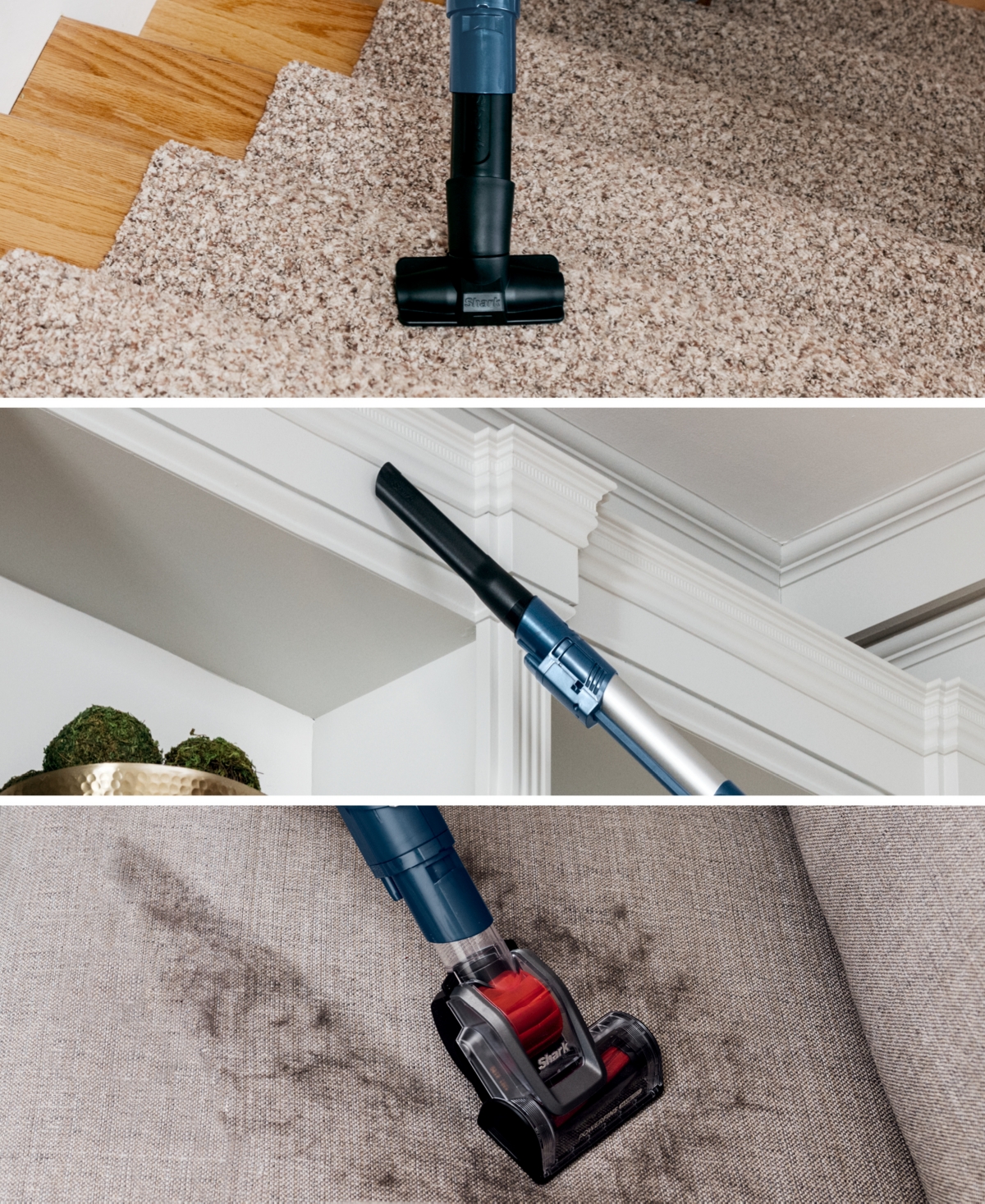 Shark Vertex Upright Vacuum In No Color