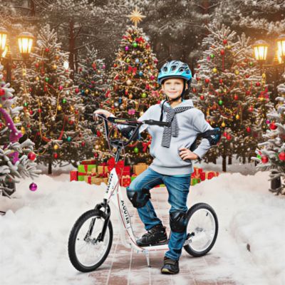 Youth Scooter Kick Scooter Front and Rear Dual Brakes,