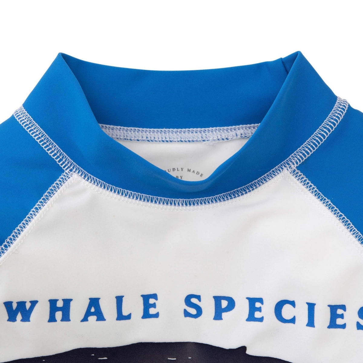 Hope & Henry Little Boys Long Sleeve Rash Guard