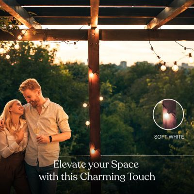 Ambience Pro Solar-Powered LED Thin Wire Globe String Lights with 15 Hooks, Soft White (27 ft.)