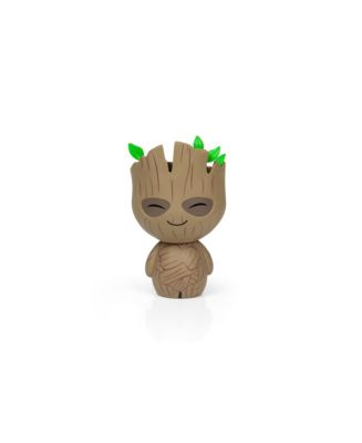 groot dorbz