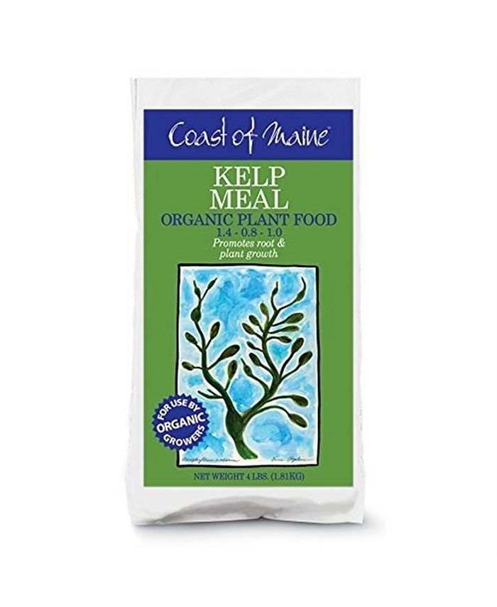 Coast of Maine Kelp Meal All Purpose Organic Plant Food, 4lbs Macy's