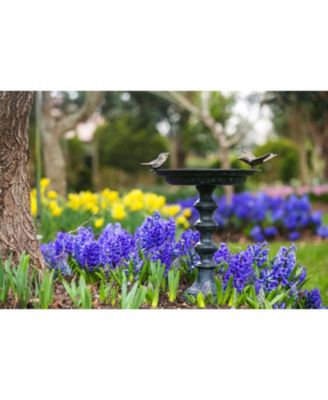 Garden Cast Metal Bird Bath on Pedestal 20 x 19 x 15 Inches